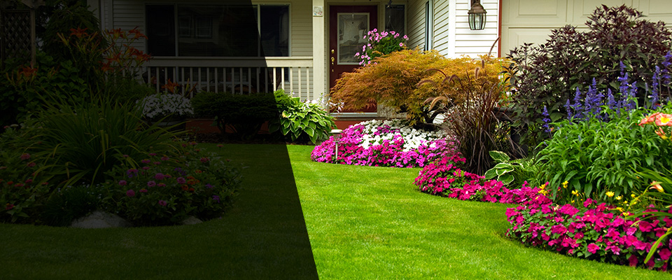 Armona Landscapers