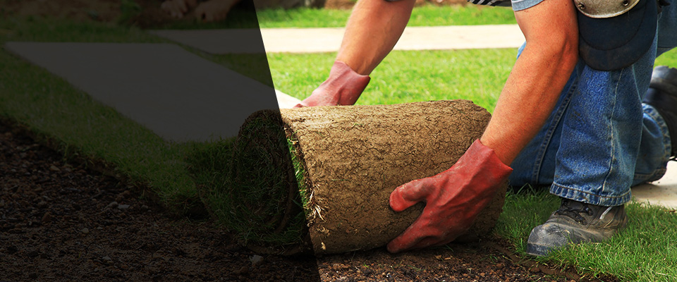 Armona Landscapers
